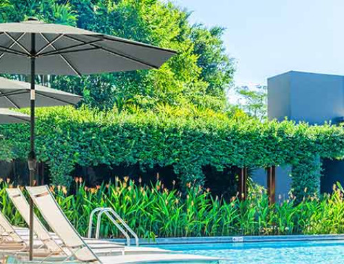 Tofasco Above Umbrella